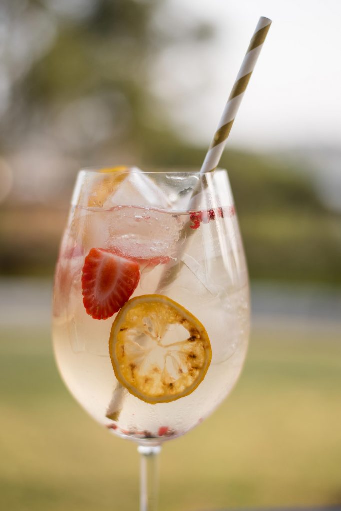 As frutas desidratadas dão um toque de sabor super especial para esse drink Gin tônica fruits. Foto: Karla Rudnick. Imagem: As frutas desidratadas dão um toque de sabor super especial para esse drink Gin tônica fruits. Foto: Karla Rudnick.